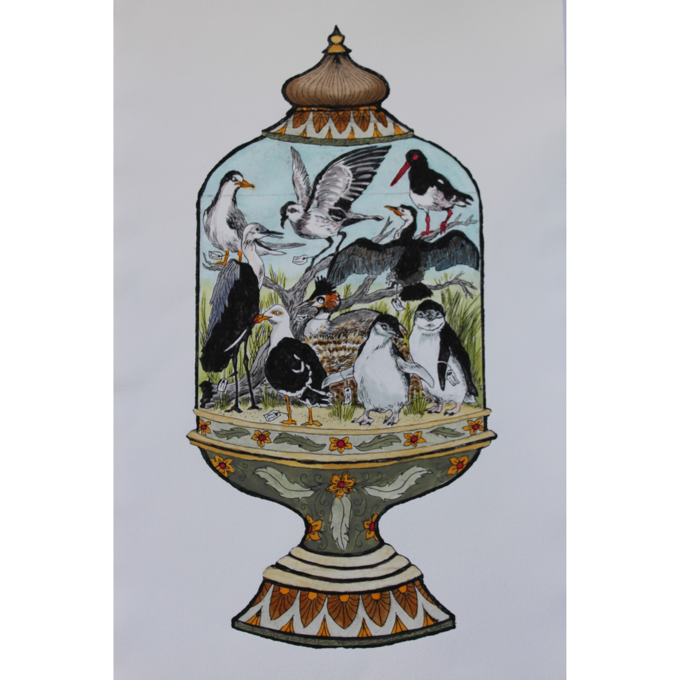 Anna Berger - Tasmanian Coastal Birds