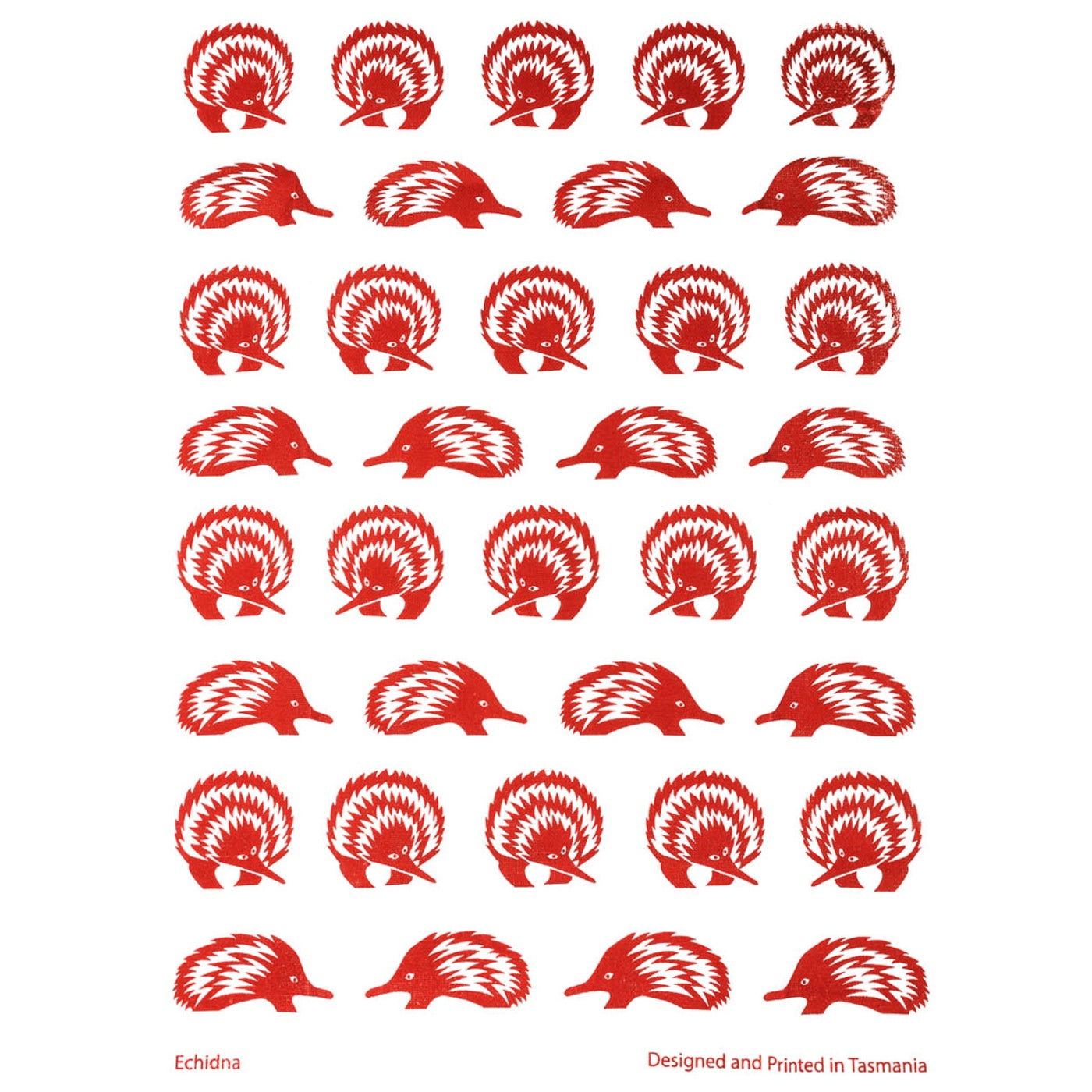 The T-Towel Gallery - Tea Towel - Echidna