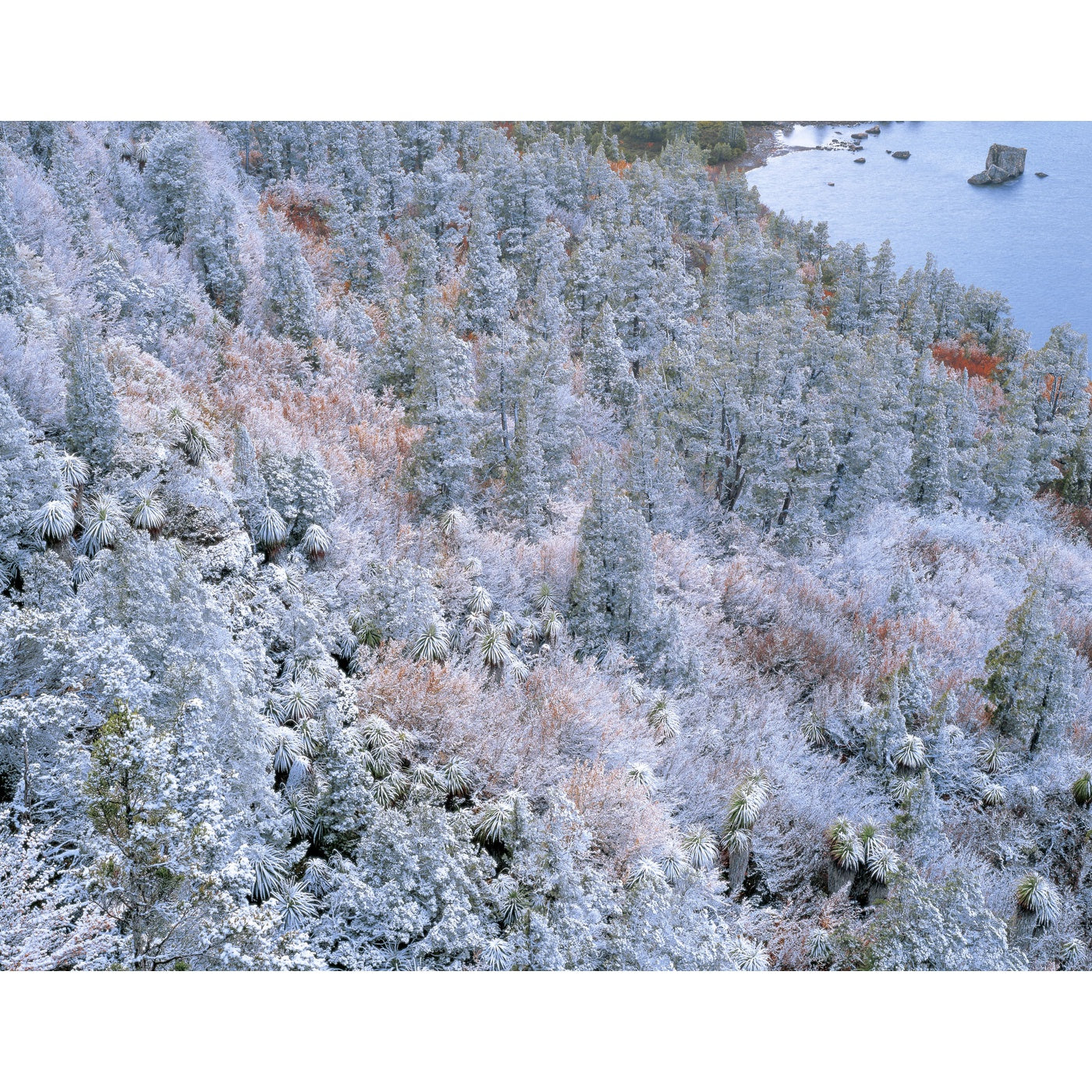 Rob Blakers - Walls of Jerusalem National Park - Highland Rainforest 1
