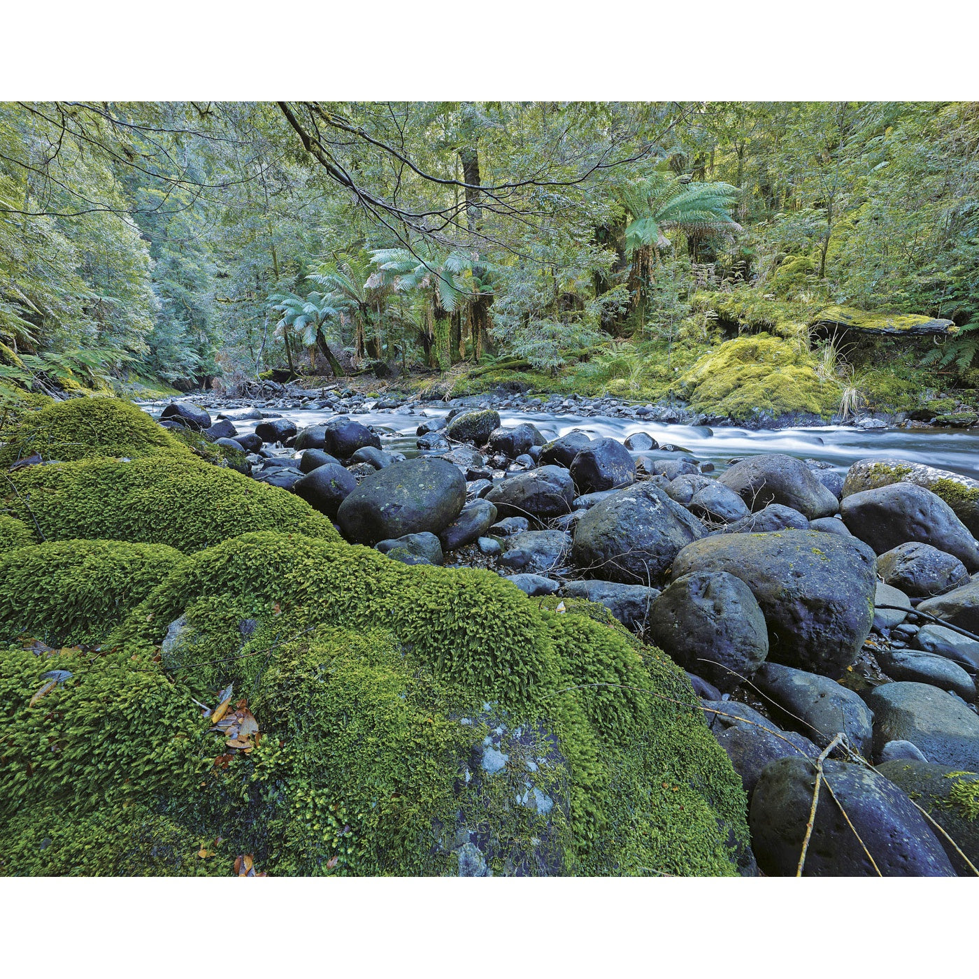 Rob Blakers - Takayna - Boulder-Strewn Stream