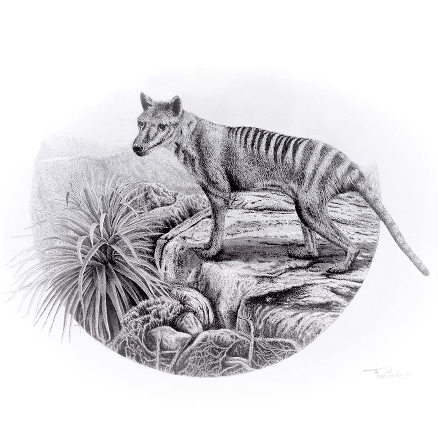 InkStreamArt - Art Print - The Lost Tiger