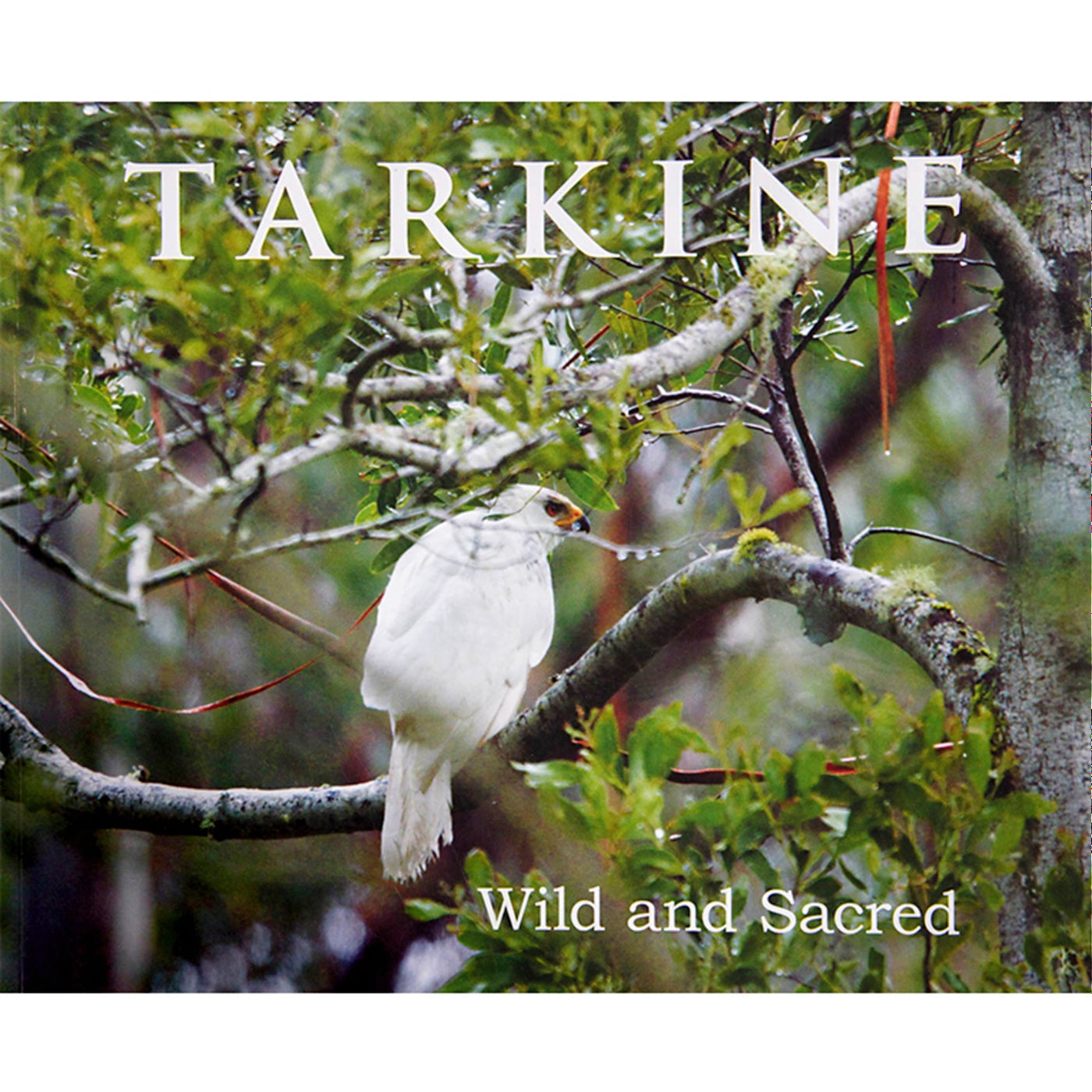 Tarkine - Wild and Sacred