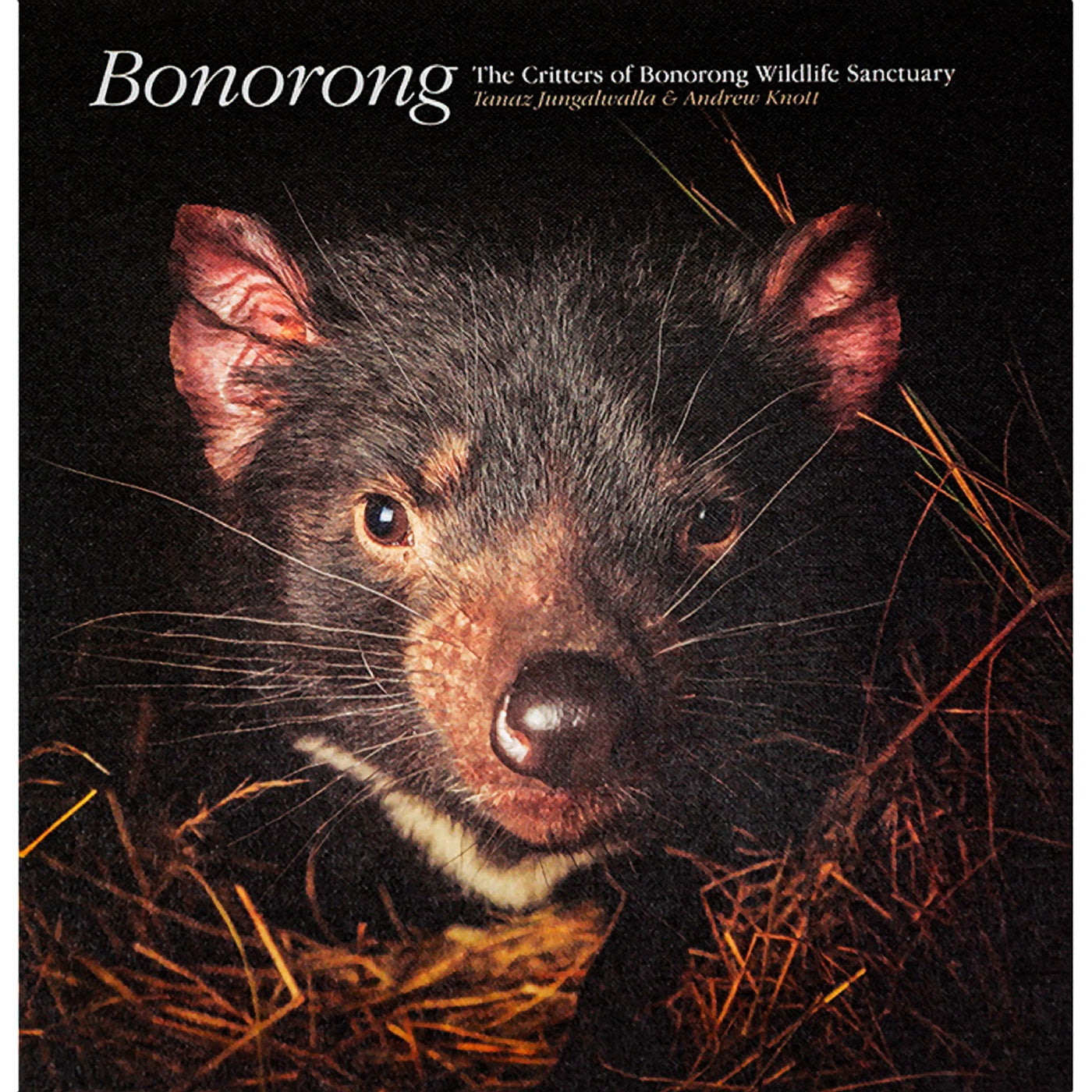 Bonorong - The Critters of Bonorong Wildlife Sanctuary
