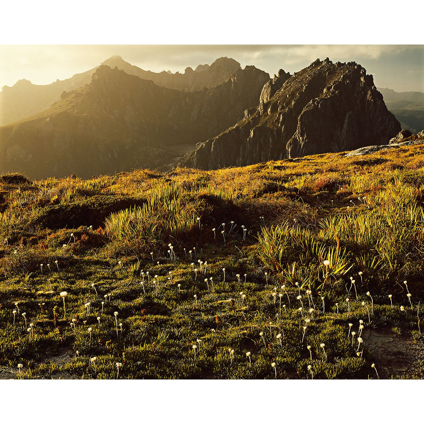 Peter Dombrovskis - Western Arthurs