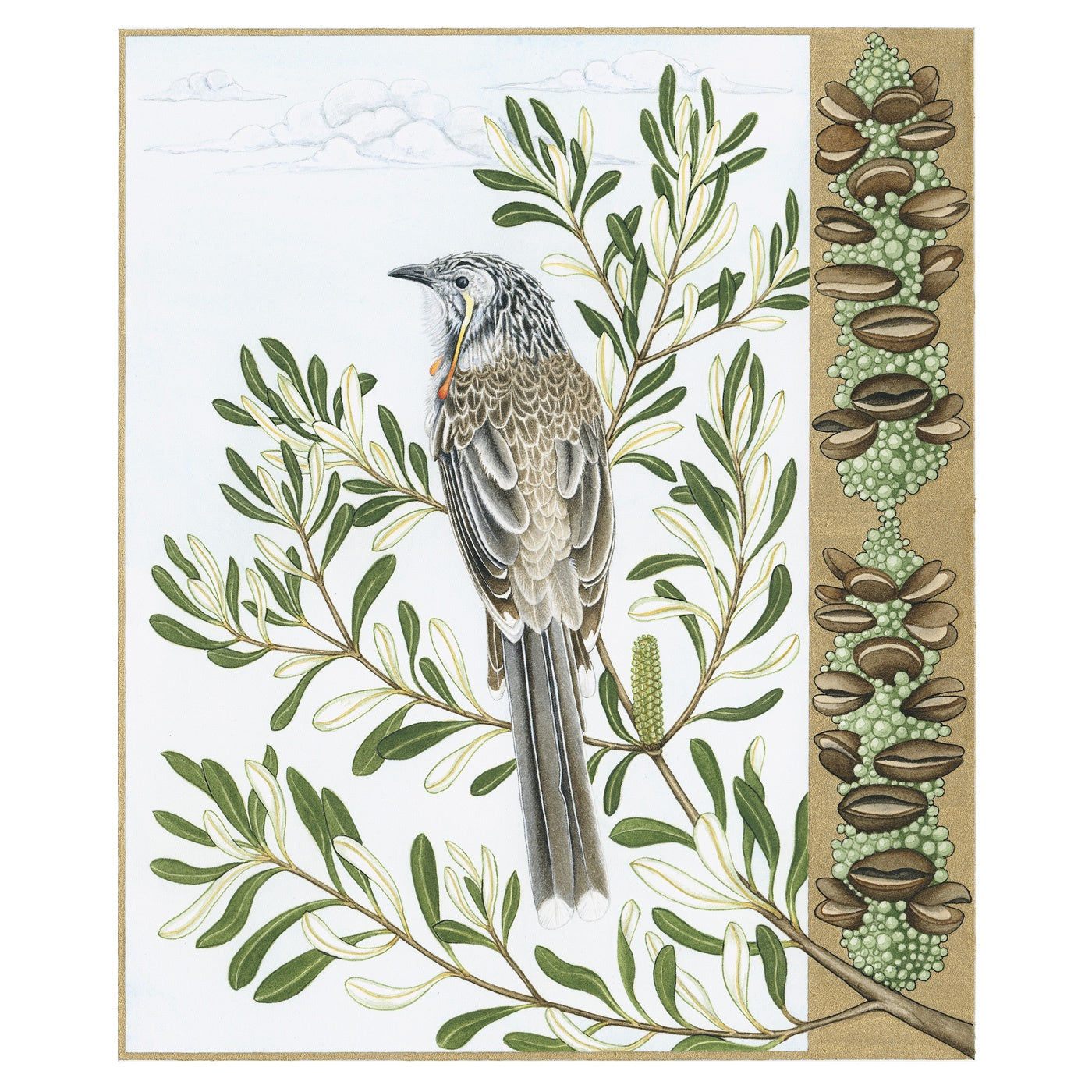 Sylvie Gerozisis - Birds of Tasmania - Art Print - Yellow Wattlebird