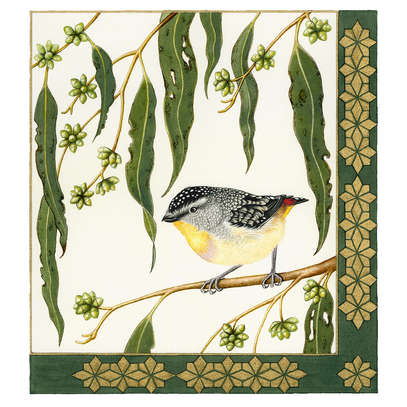 Sylvie Gerozisis - Birds of Tasmania - Art Print - Spotted Pardalote