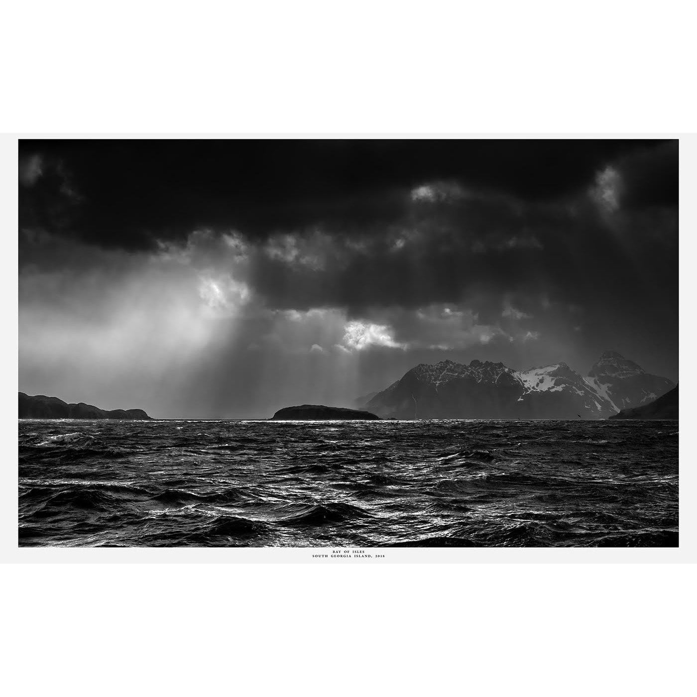 Peter Cosier - Bay of Isles, South Georgia Island, 2018