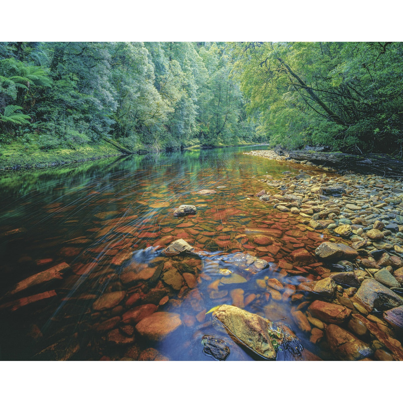 Rob Blakers - Takayna - Tannin Waters