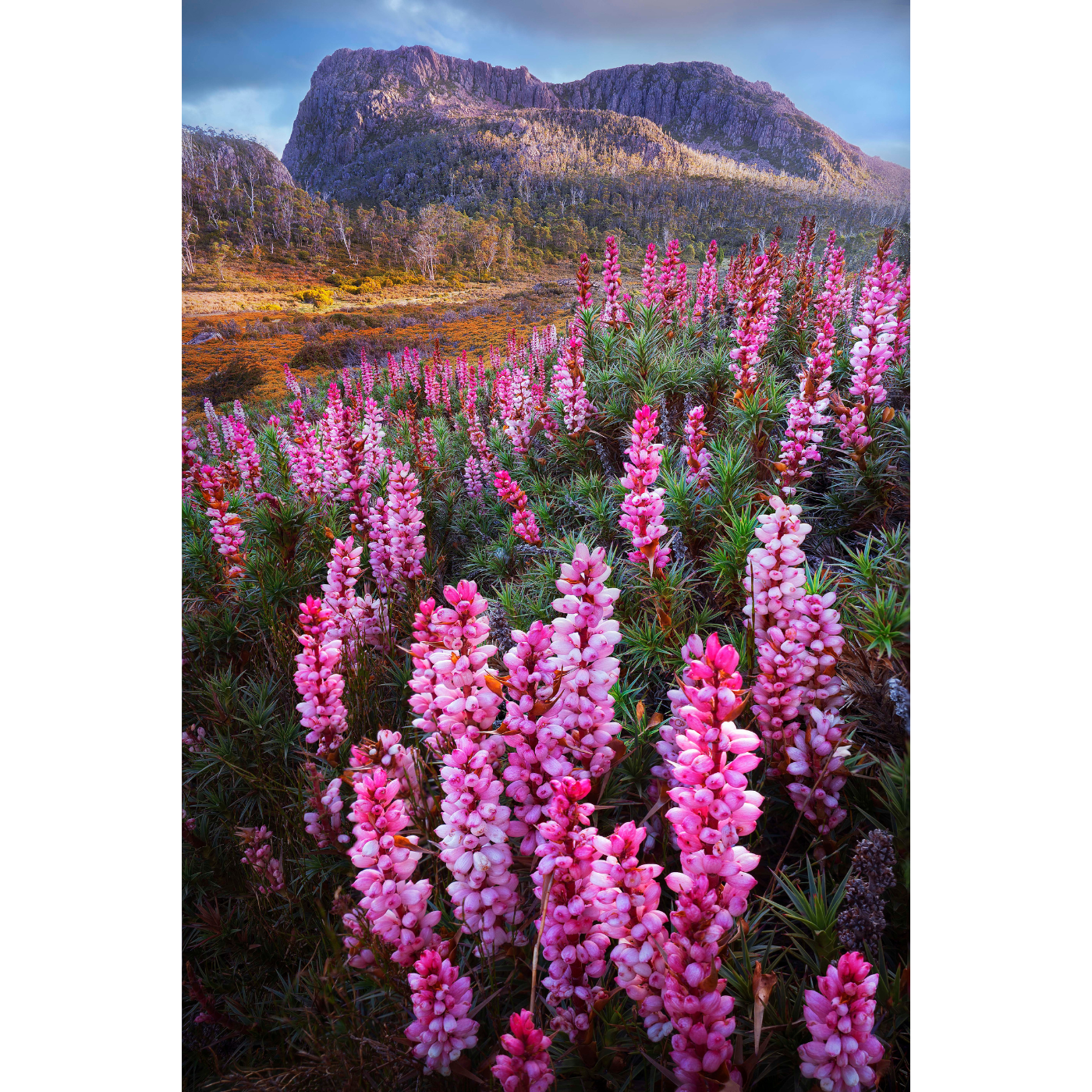 Tristan Stuart - Khloris Walking, The Walls of Jerusalem National Park