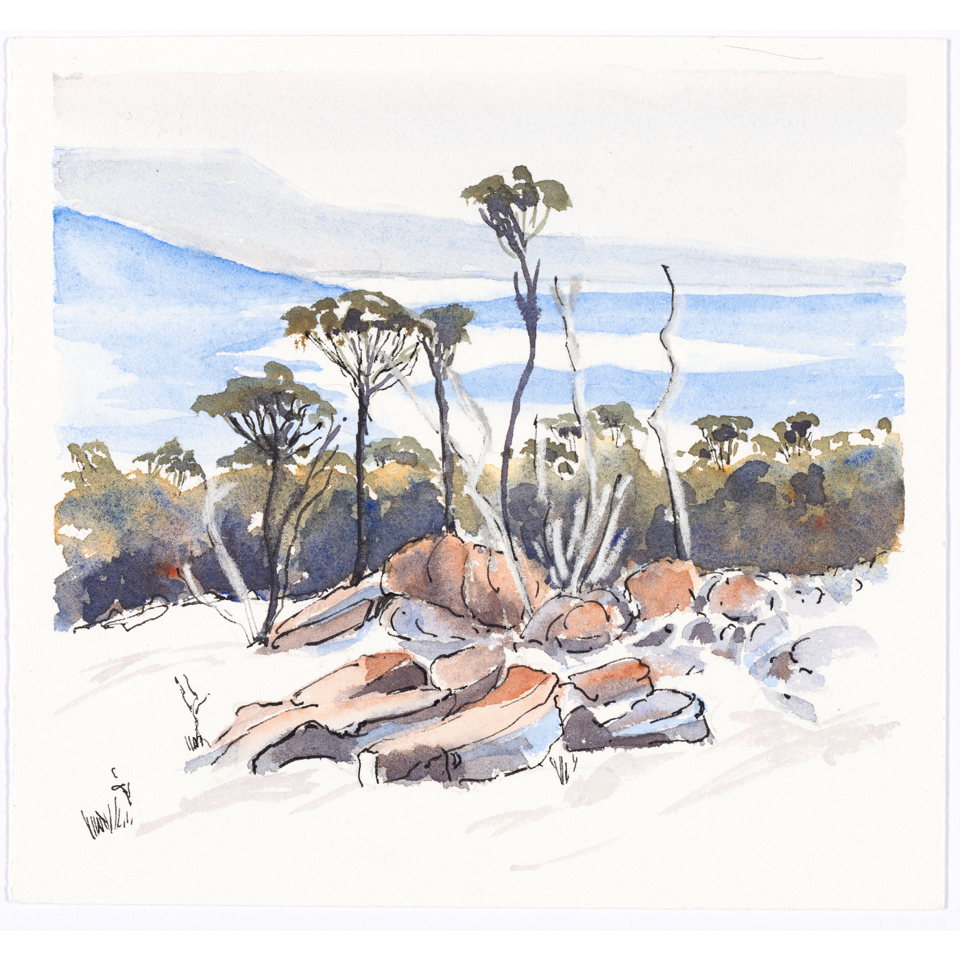 Nola Parsons - Rarefied Copse