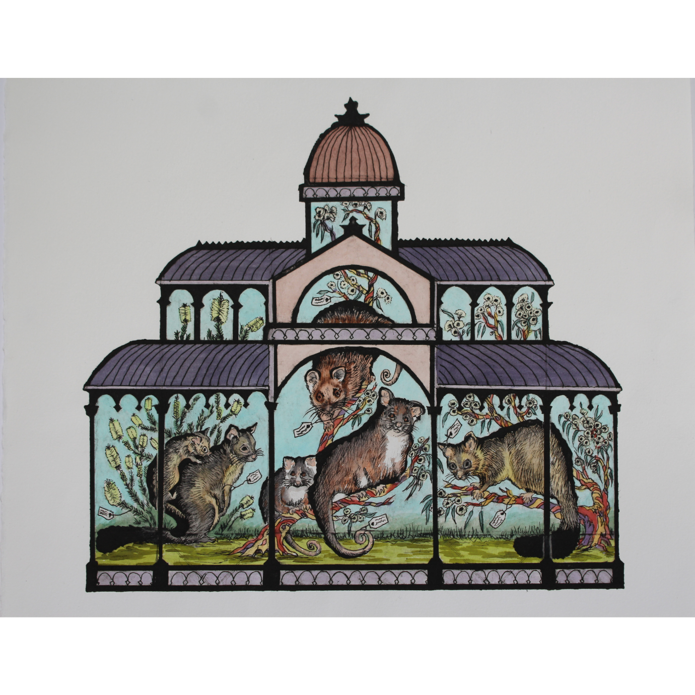 Anna Berger - Ringtail ad Brushtail Possums, bottlebrush and snow gums