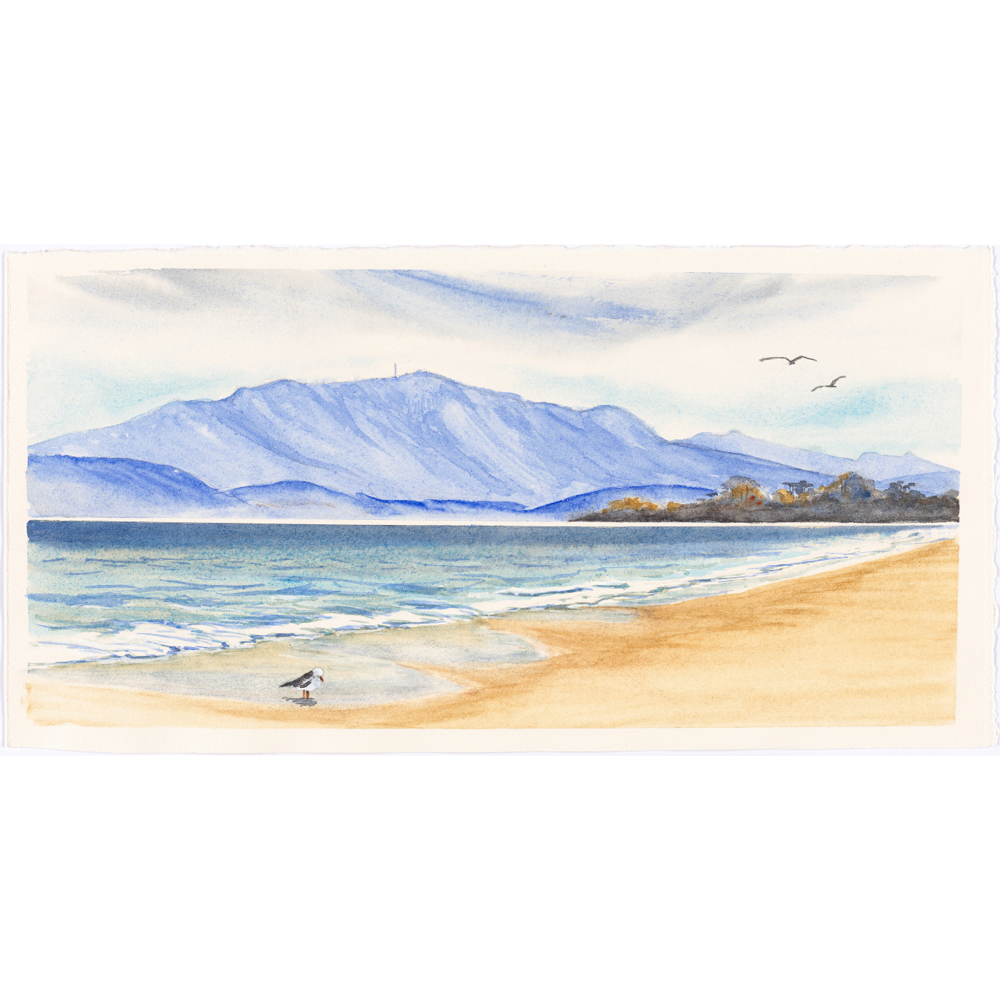 Nola Parsons - Solitude