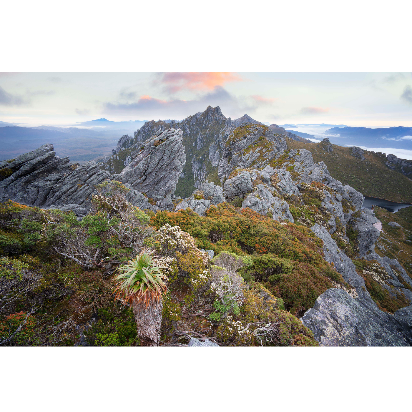 Tristan Stuart - World Spine, Southwest National Park
