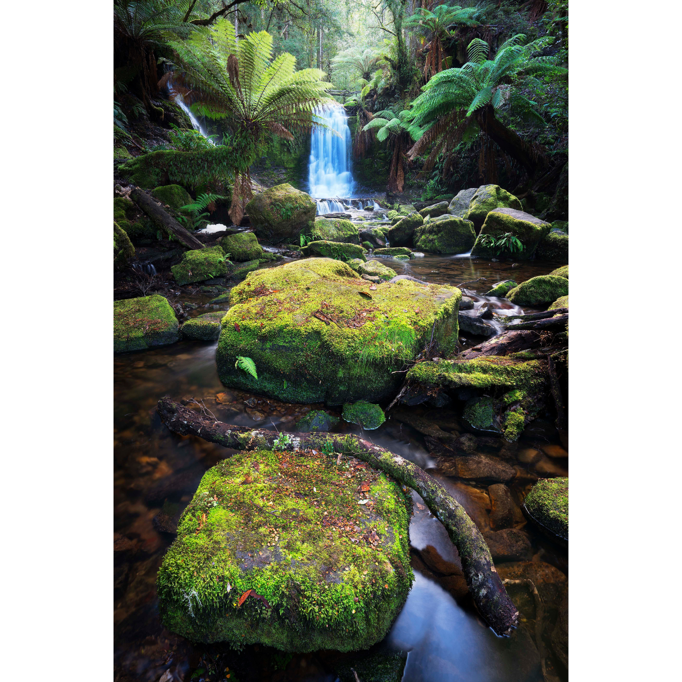 Tristan Stuart - Spirit of Water,  Mt. Field National Park
