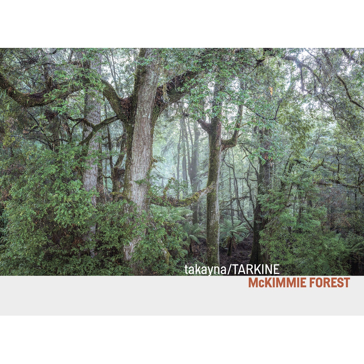 McKimmie Takayna Rainforest Book