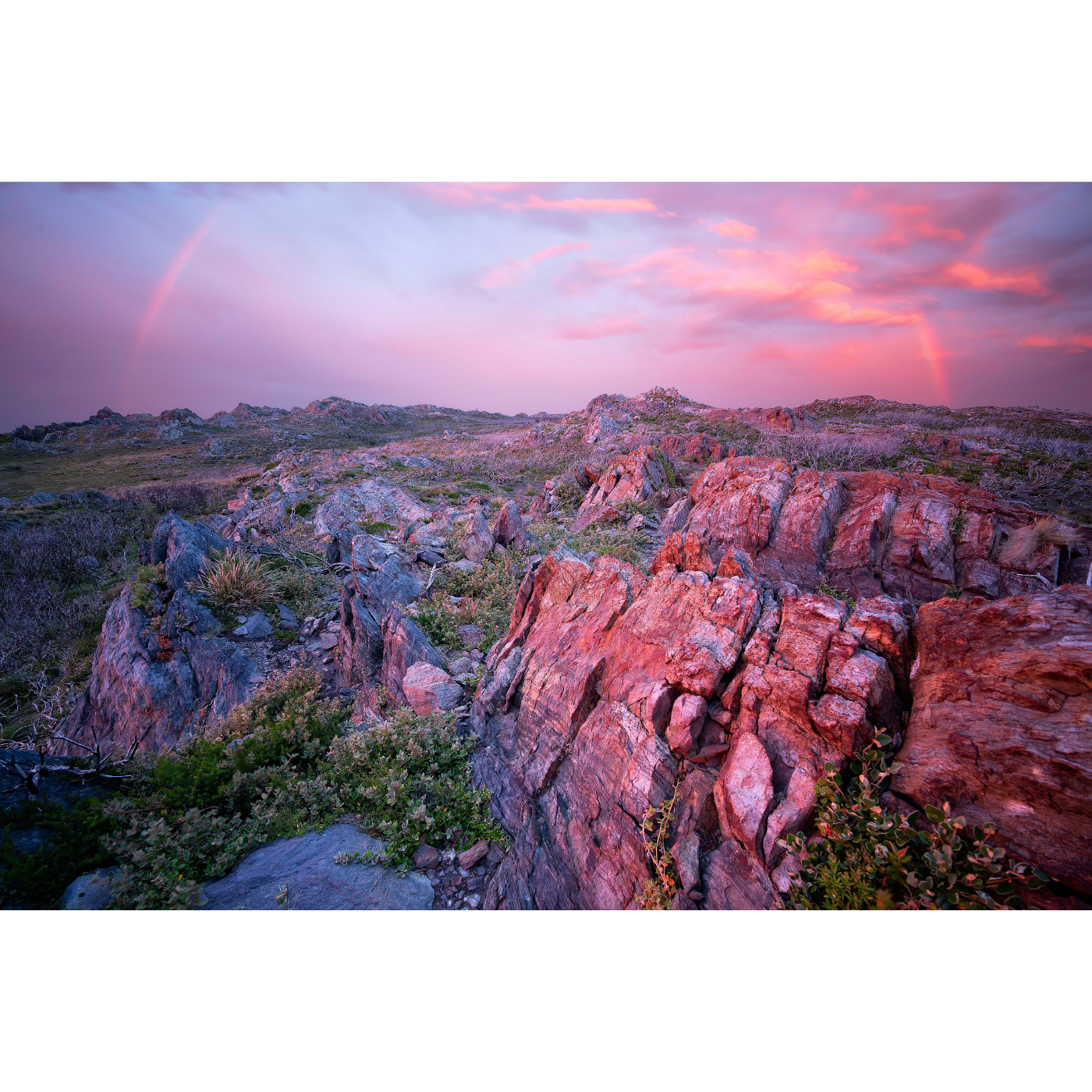 Tristan Stuart - Tarkine, Arthur Pieman Conservation Area