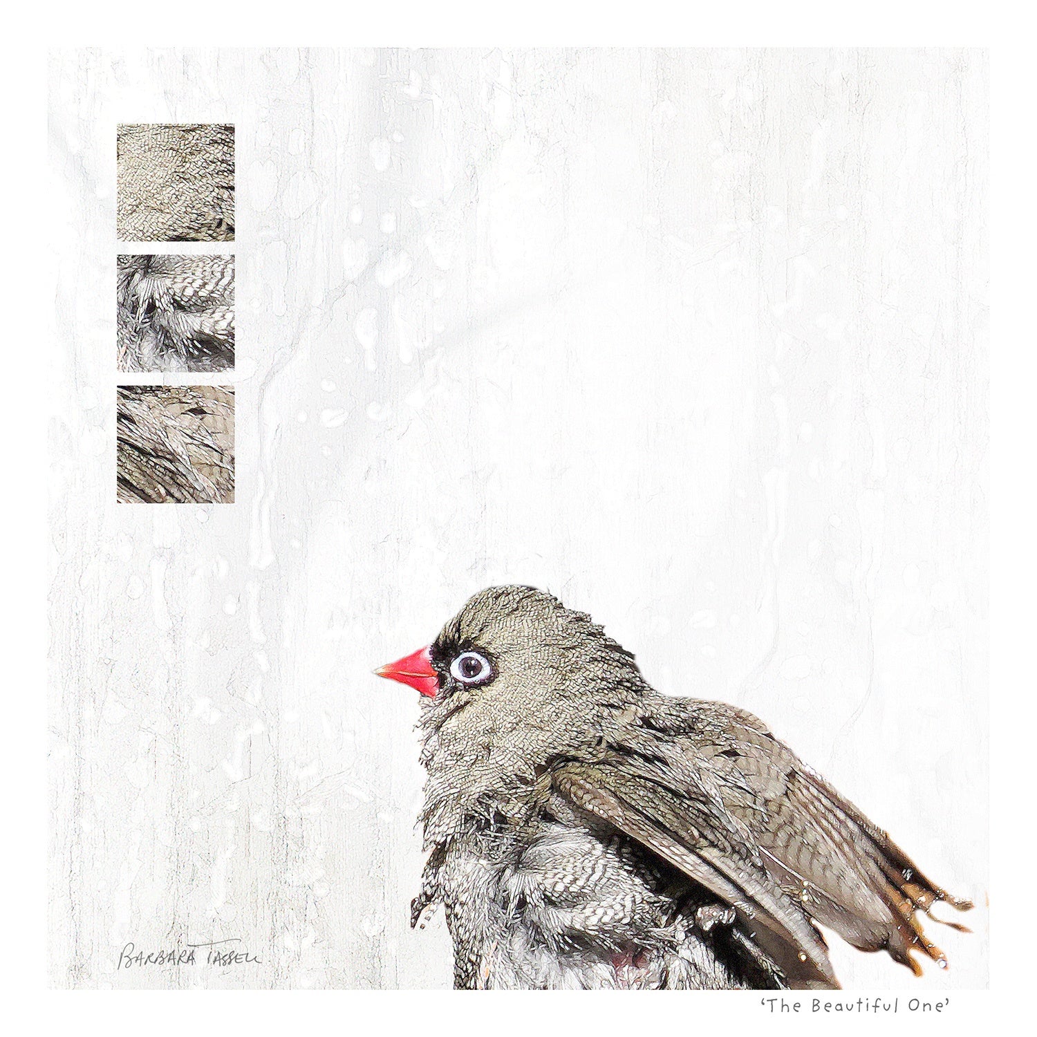 Barbara Tassell - The Beautiful One