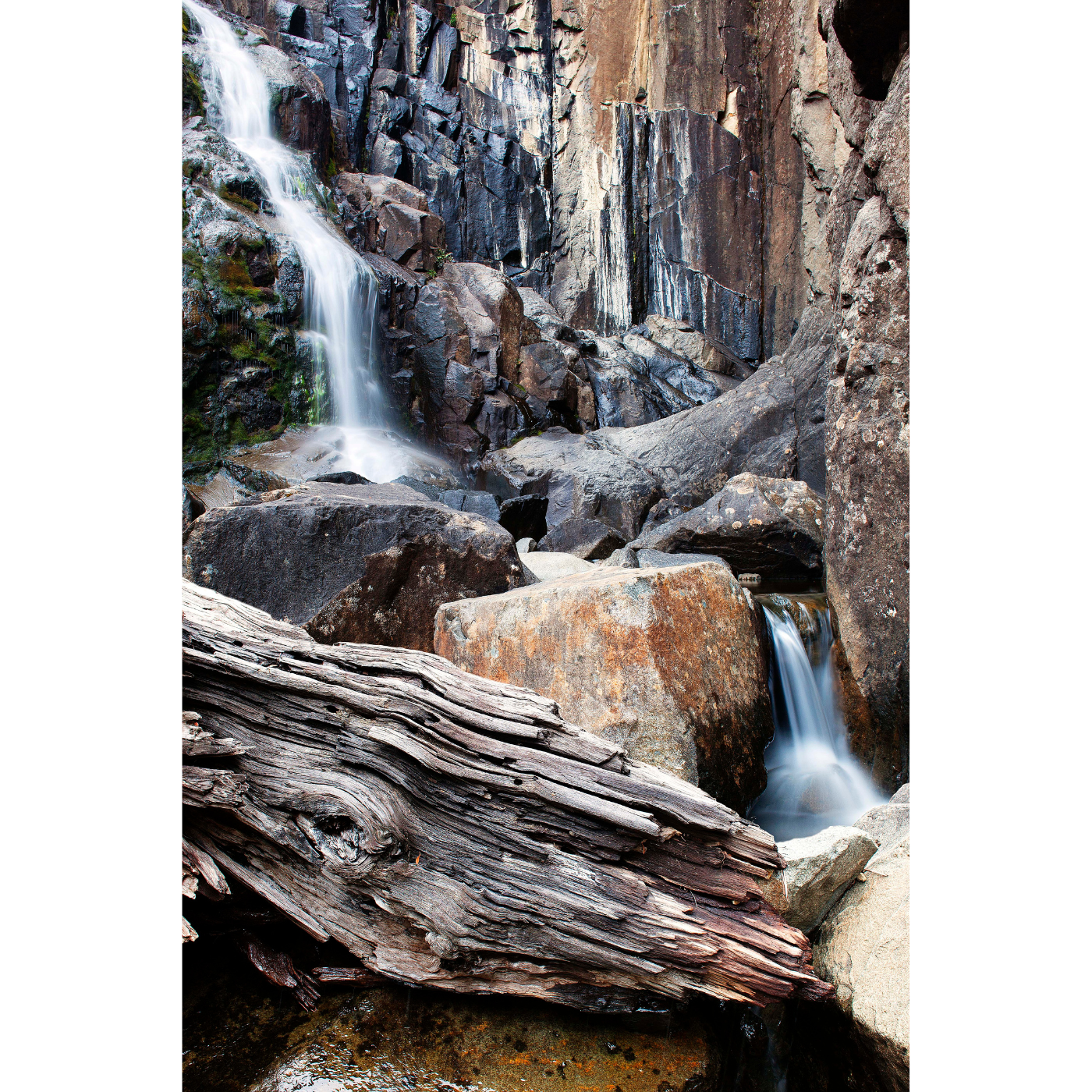 Tristan Stuart - Wellington Falls, Mt Wellington National Park